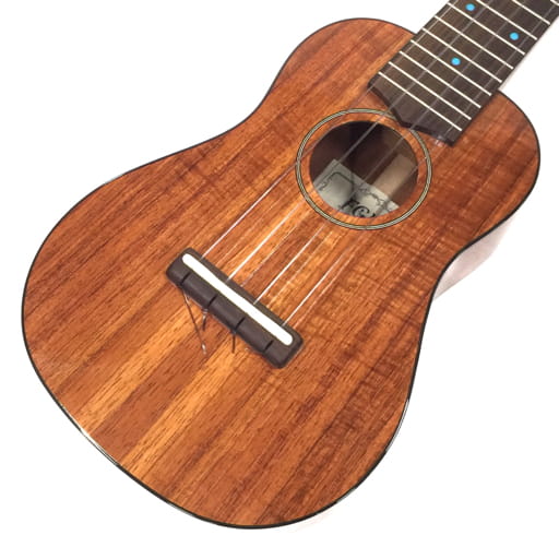 FGN Acoustic フジゲン ソプラノ ウクレレ FUS-TS-02 22K0002
